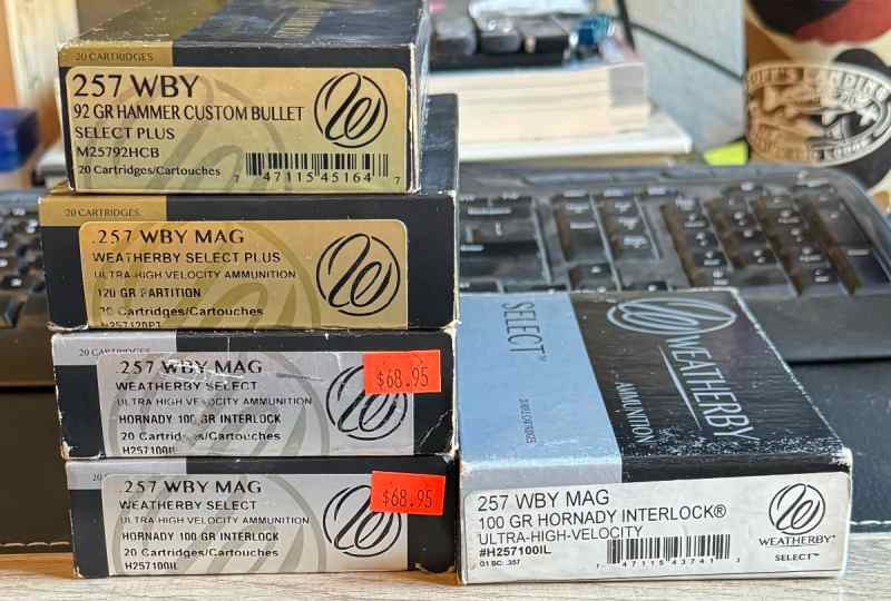 257wby mag ammo and brass