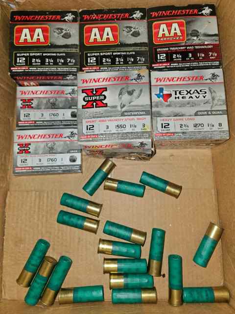 Assorted 12 Gauge Shotgun Shells