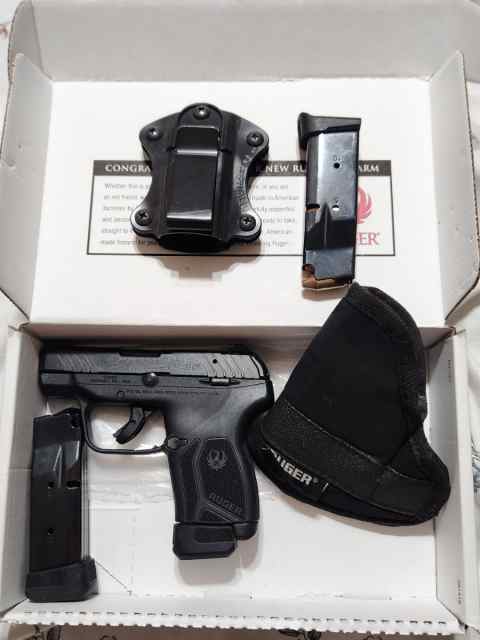 Ruger lcp max 380