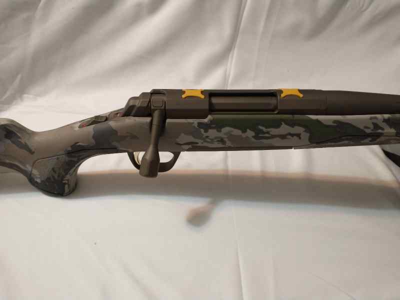 04_Browning6.8.jpg