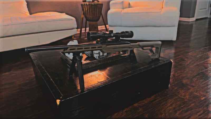 .22 Savage Precision Rifle