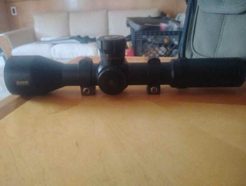 Bushnell 3-21 dmr scope 