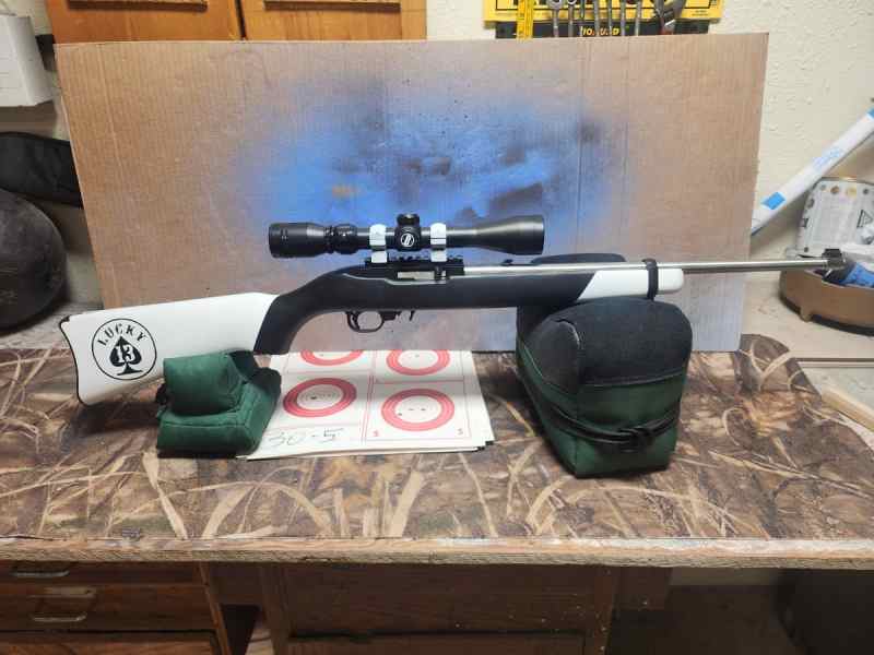 Ruger 10/22