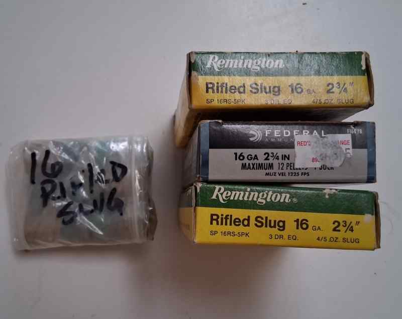 20251128_143038.jpg
