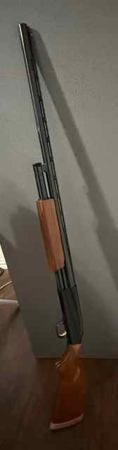 IMG_7179.jpeg