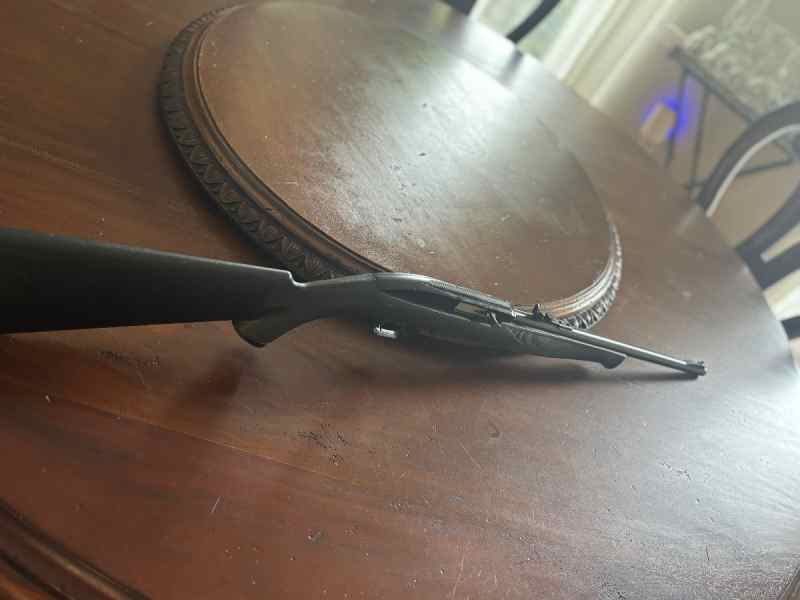 Mossberg 702 plinkster