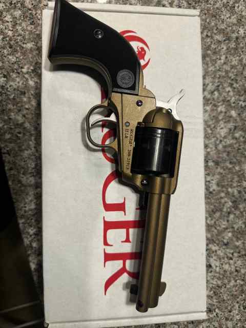 Ruger wrangler 