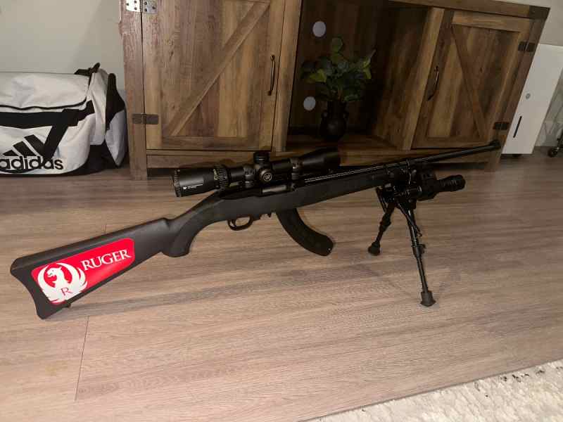 Ruger 10/22