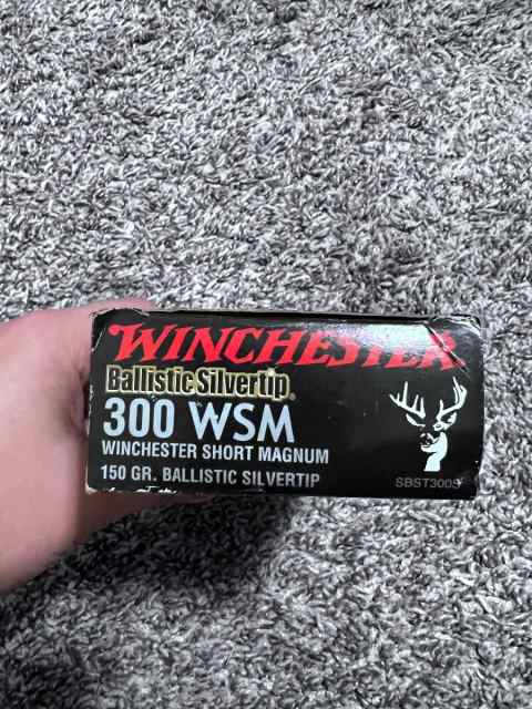 20 Rounds of .300 Winchester Short Magnum (WSM)