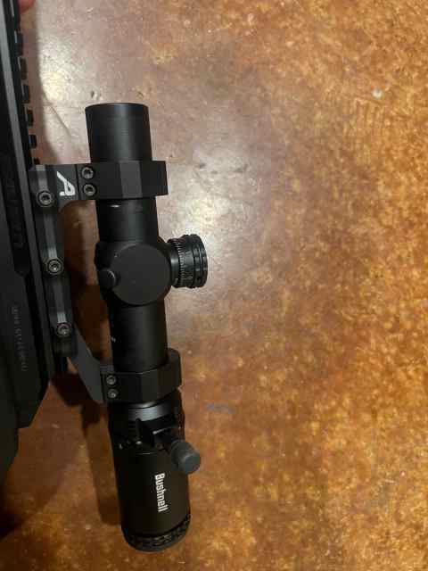 Bushnell LPVO in Aero ultralight mount