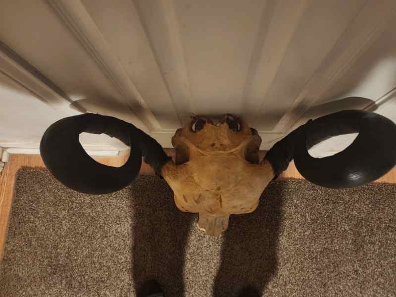 241.jpeg