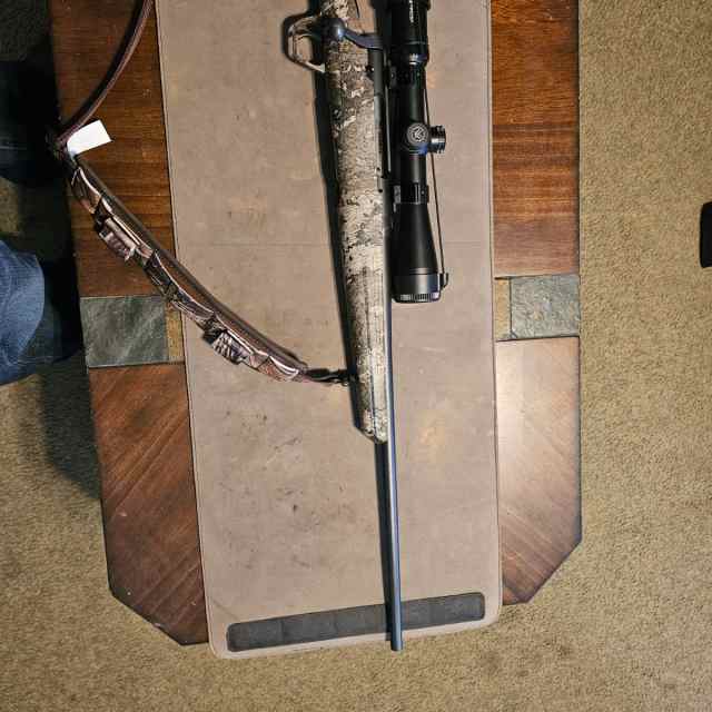 Savage axis 308