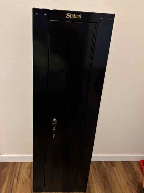 Locking gun cabinet 