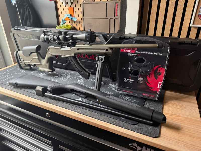 Ruger 10/22 Olive Green Army Build