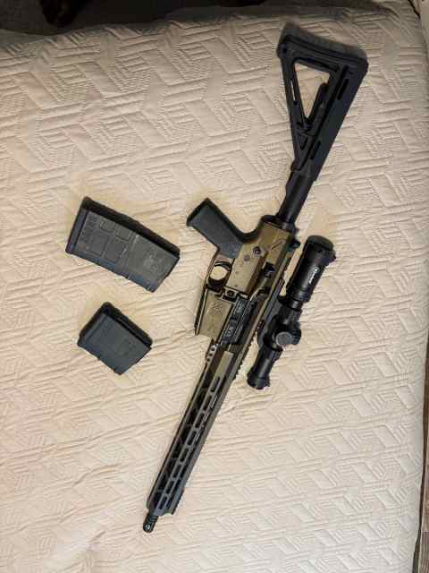 Diamondback AR10 .308 