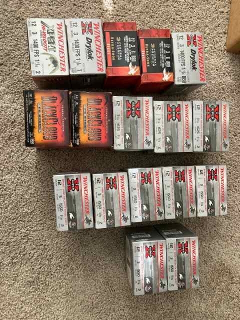 12 ga assorted rounds