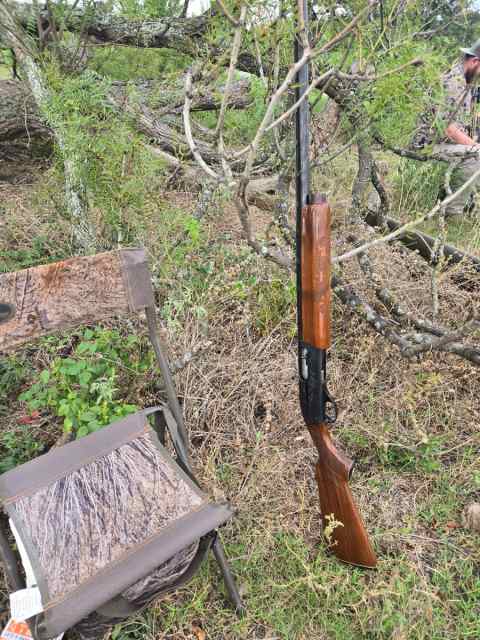 Remington 1100m