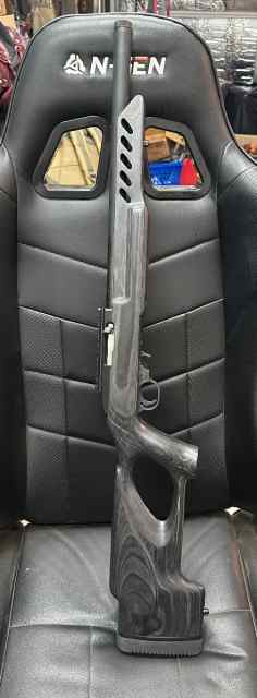 Ruger 10/22 match 22lr