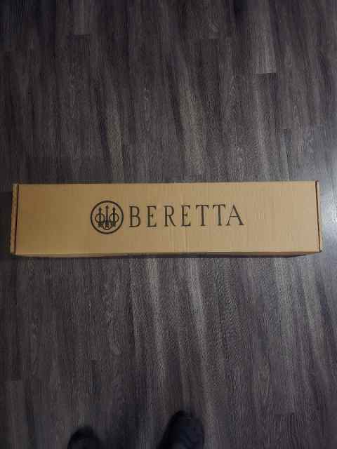 1000034009.jpg
