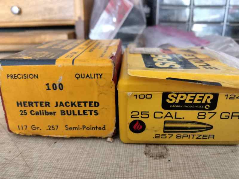 .25 caliber bullets 