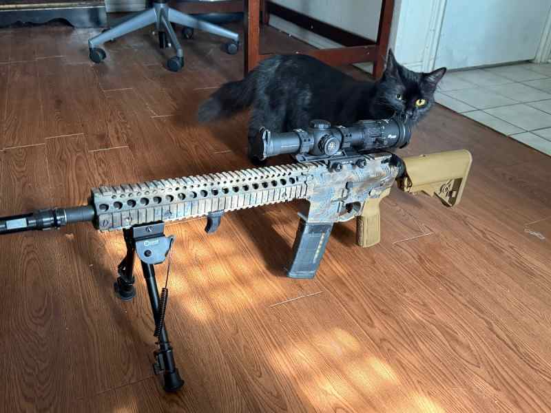 WTT Daniel Defense M4A1