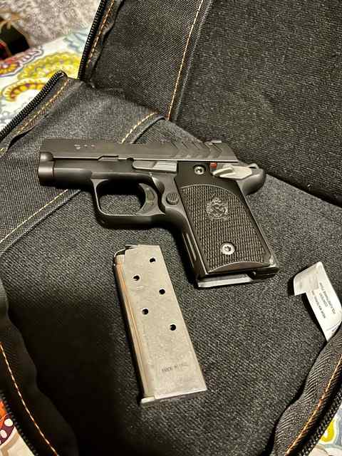 Springfield Armory 911- .380