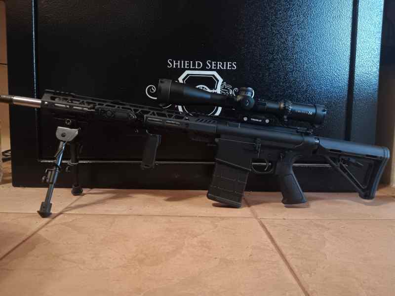 PSA AR10 .308