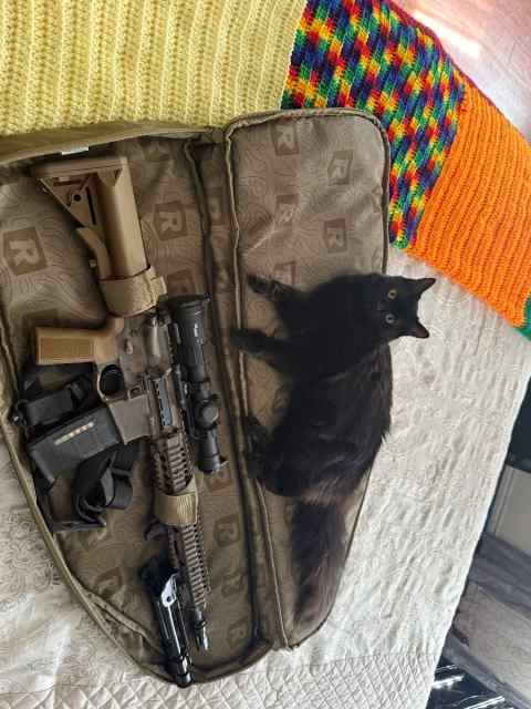 WTT/WTS Daniel Defense M4A1 