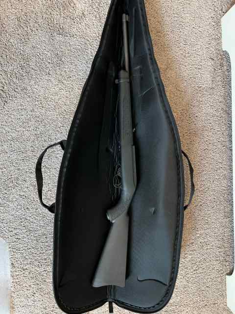Ruger 1022