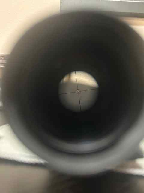 IMG_4220.jpeg