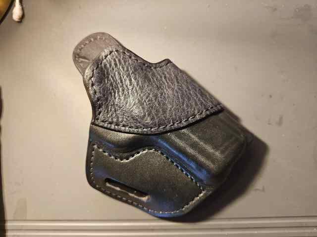 Dan Wesson Dwx Compact Holster-Shark Trim