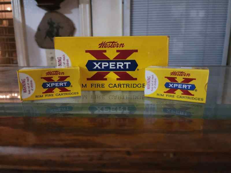 Collector Grade WESTERN, REMINGTON 22Lr Bricks