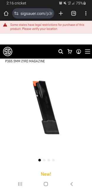 Looking for p365 fuse mags 20