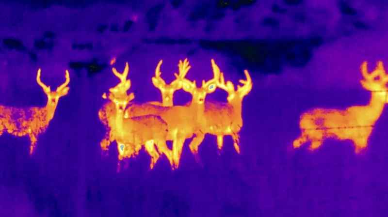AGM ASP Micro TM384 Thermal