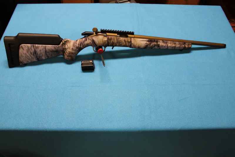 Ruger .17 HMR BA rifle