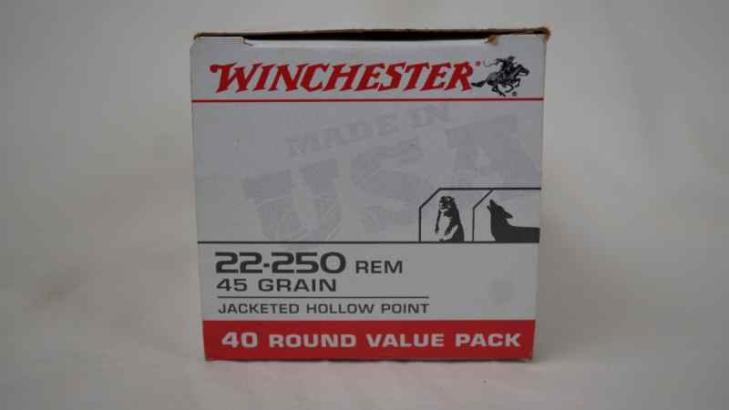 Winchester JHP 22-250