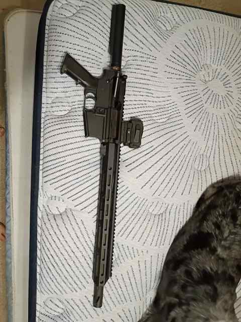 50 Beowulf bca