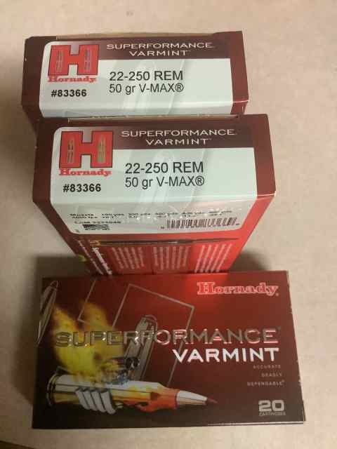 22-250 ammo