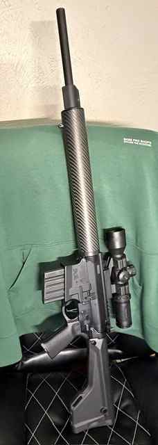 AR-10 308 // LR-GIl Hunter 