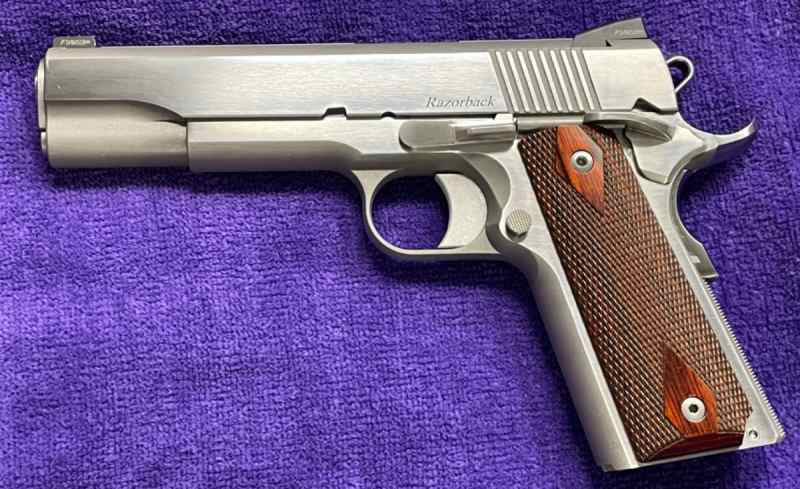 Dan Wesson Razorback 10mm 1911