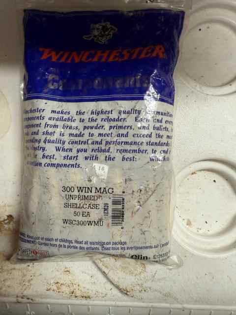 300 win mag.jpg