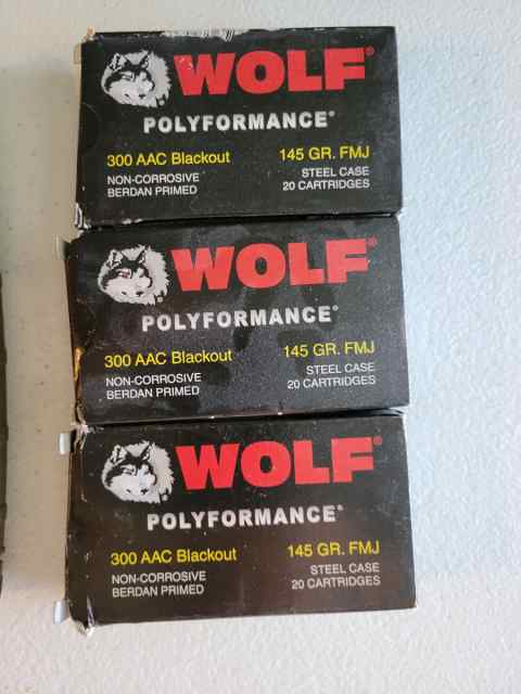 120 Rounds of Wolf .300 AAC For $.50 Per Round