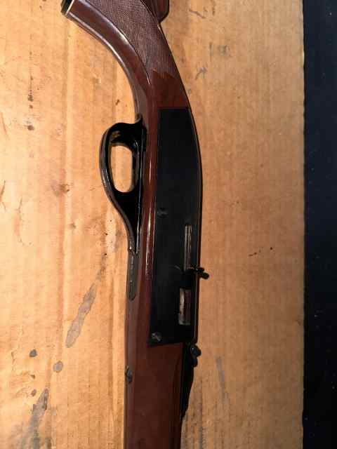 Remington Nylon 66 